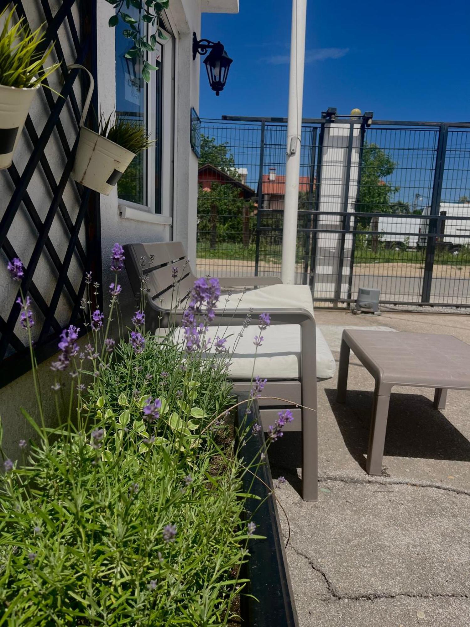 Minicity Inn Belgrad Exterior foto